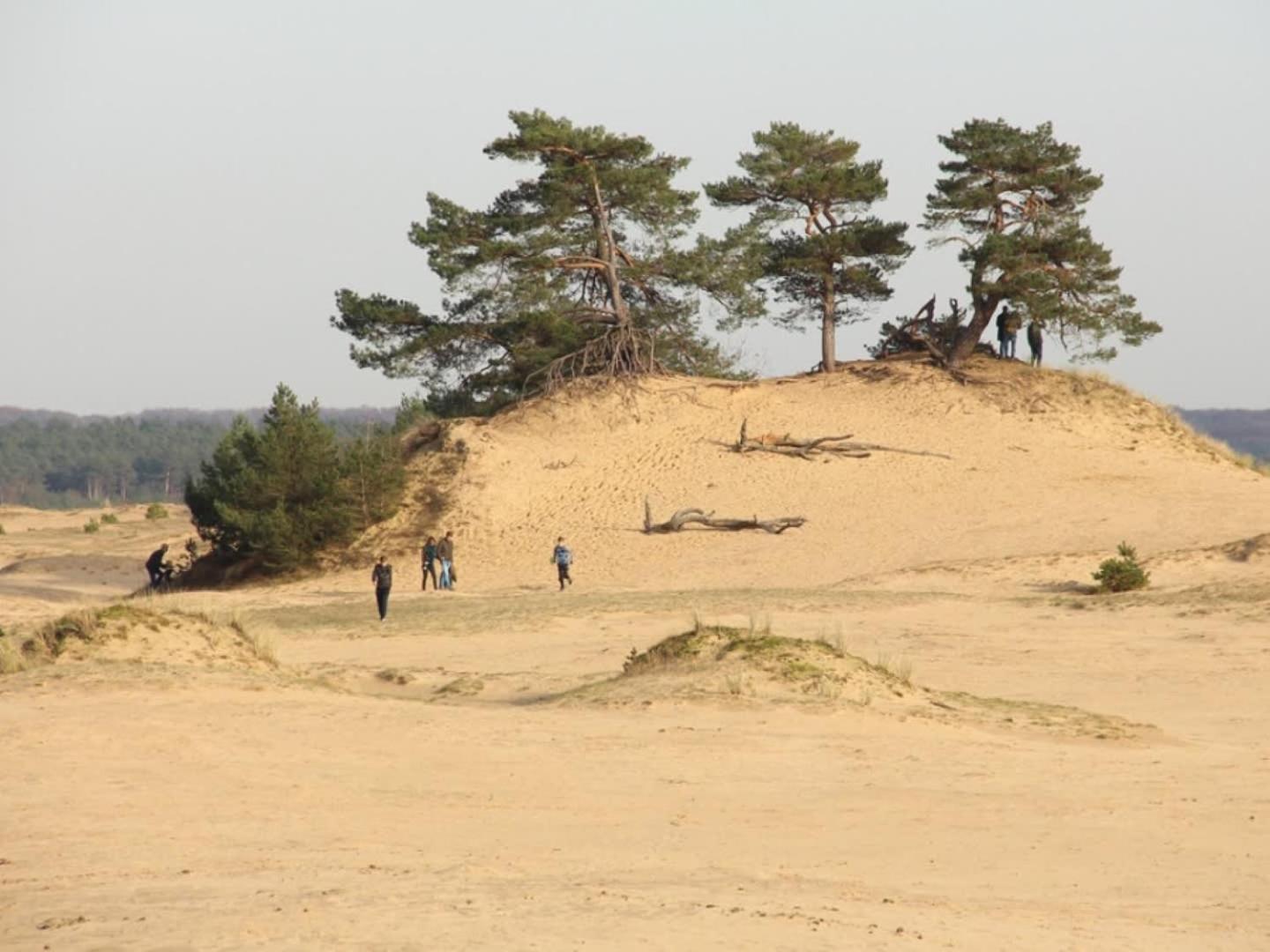 Vakantiehuis Op Rustig Bospark Veluwe Voorthuizen Exterior foto